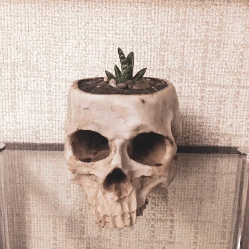 Handmade Skull Flowerpot