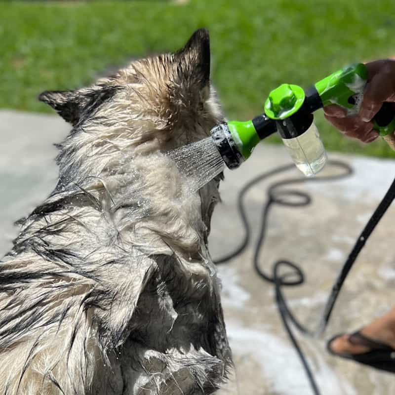 Multifunctional Foam Washing Gun