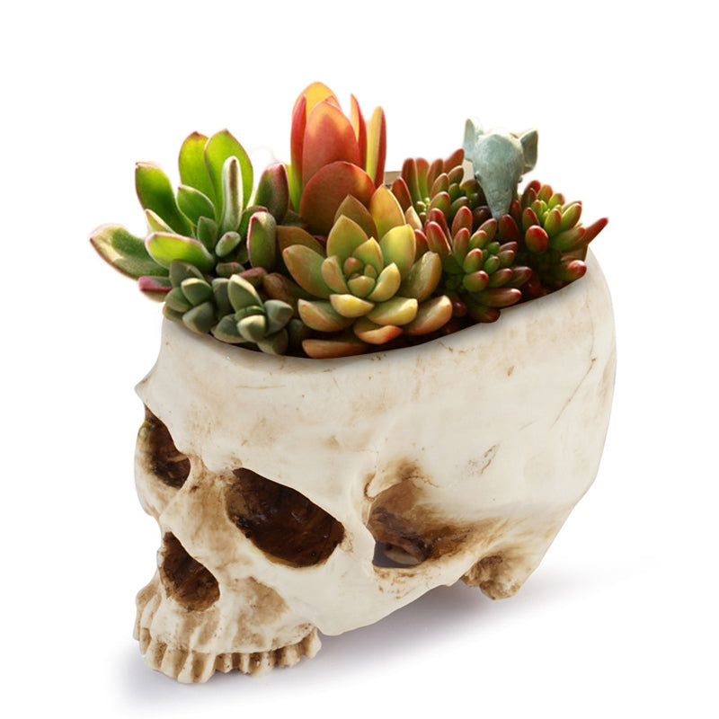 Handmade Skull Flowerpot