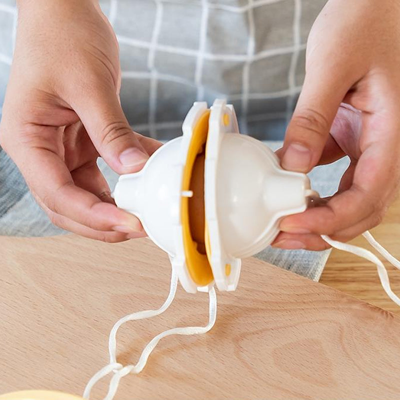 Portable Whisk Mixer