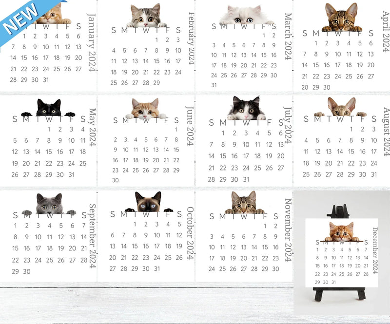 2024 Peeking Cat Desk/Wall Calendar
