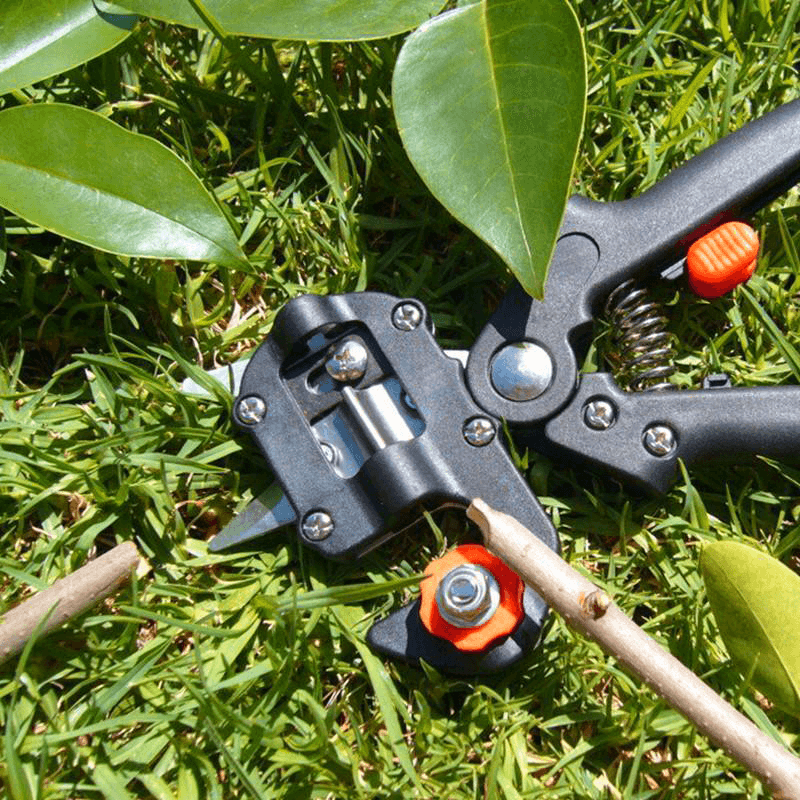 Professional Nursery Grafting Tool