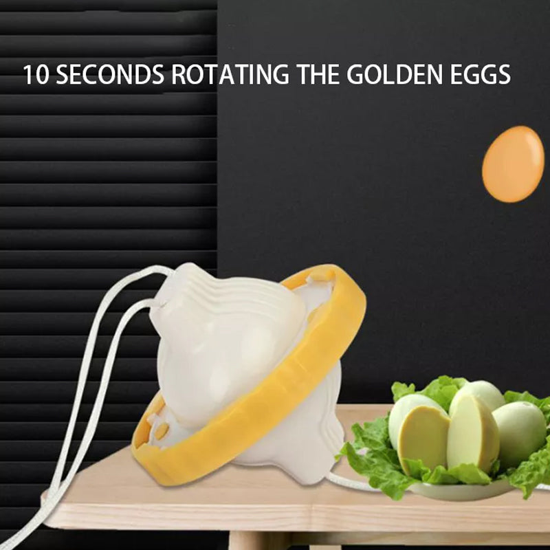 Portable Whisk Mixer