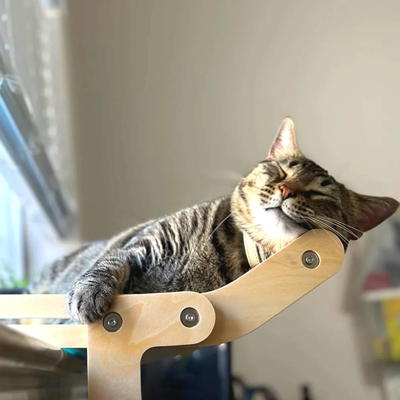 The Cat Window Perch Bed
