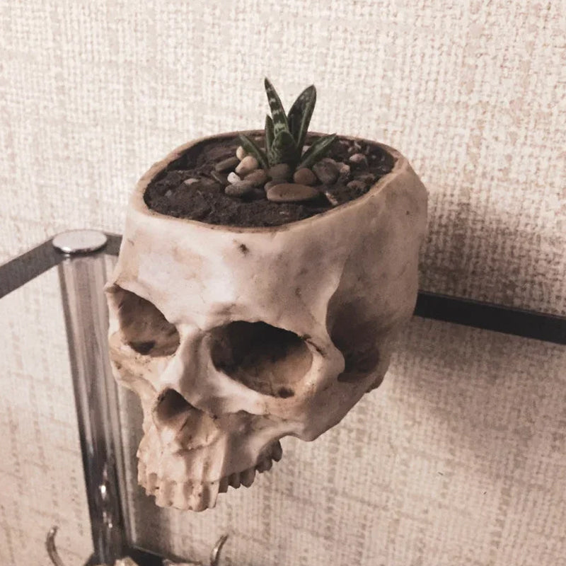 Handmade Skull Flowerpot