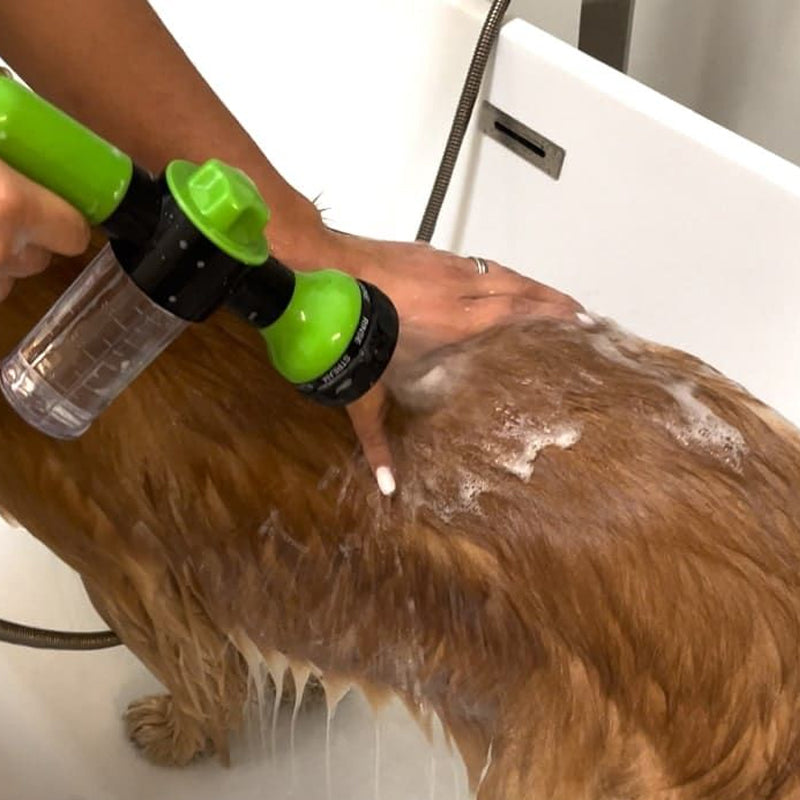 Multifunctional Foam Washing Gun